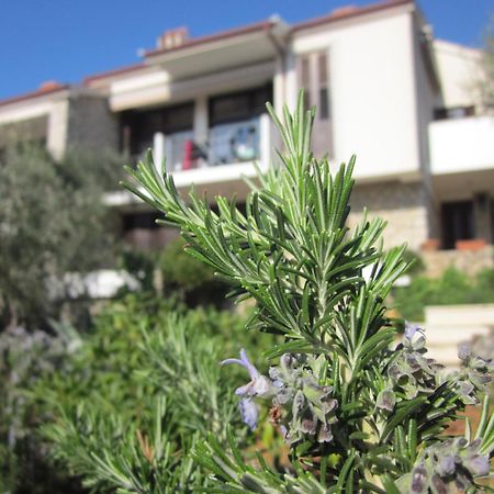 Apartments Palma & Pino Cres Luaran gambar