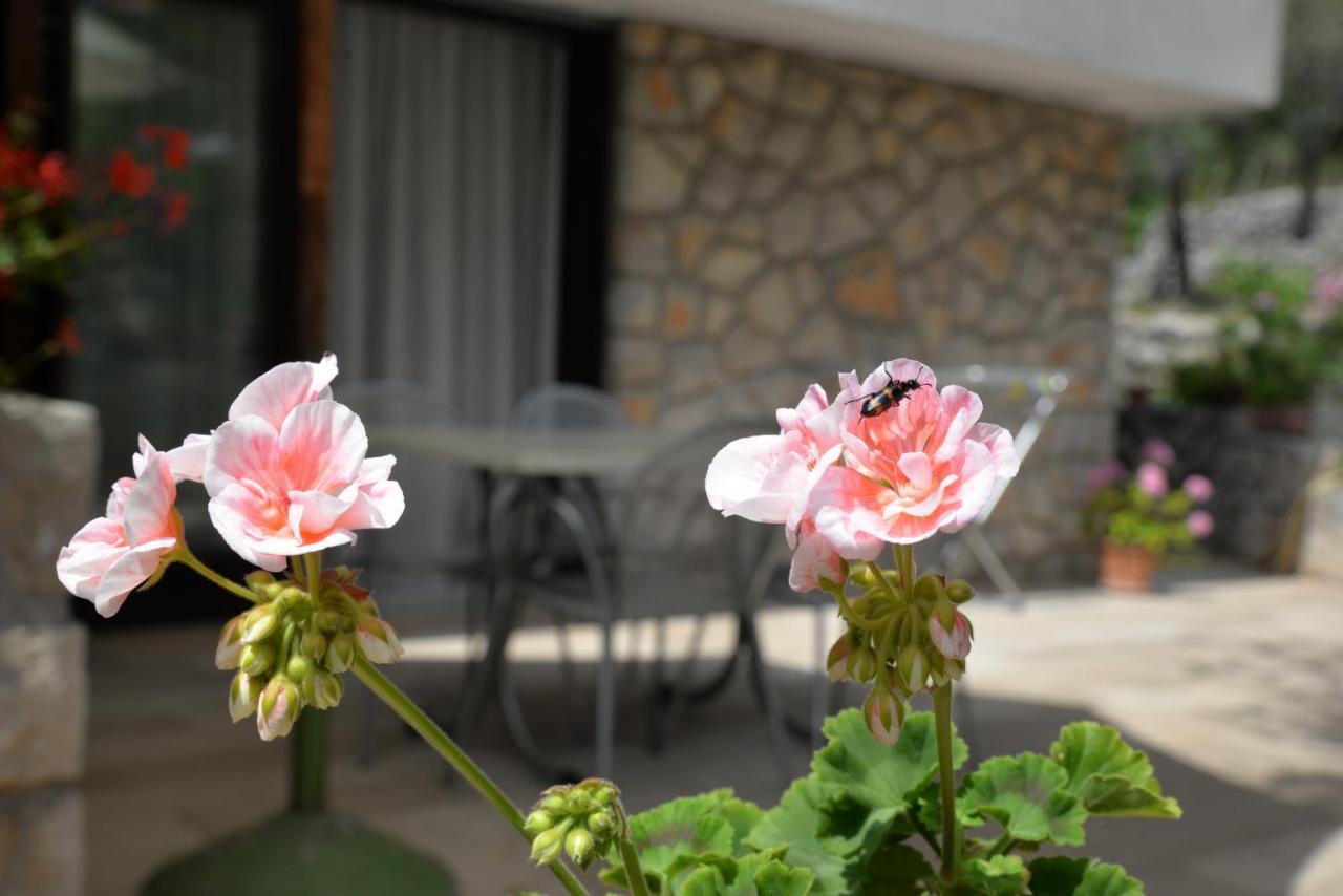 Apartments Palma & Pino Cres Luaran gambar