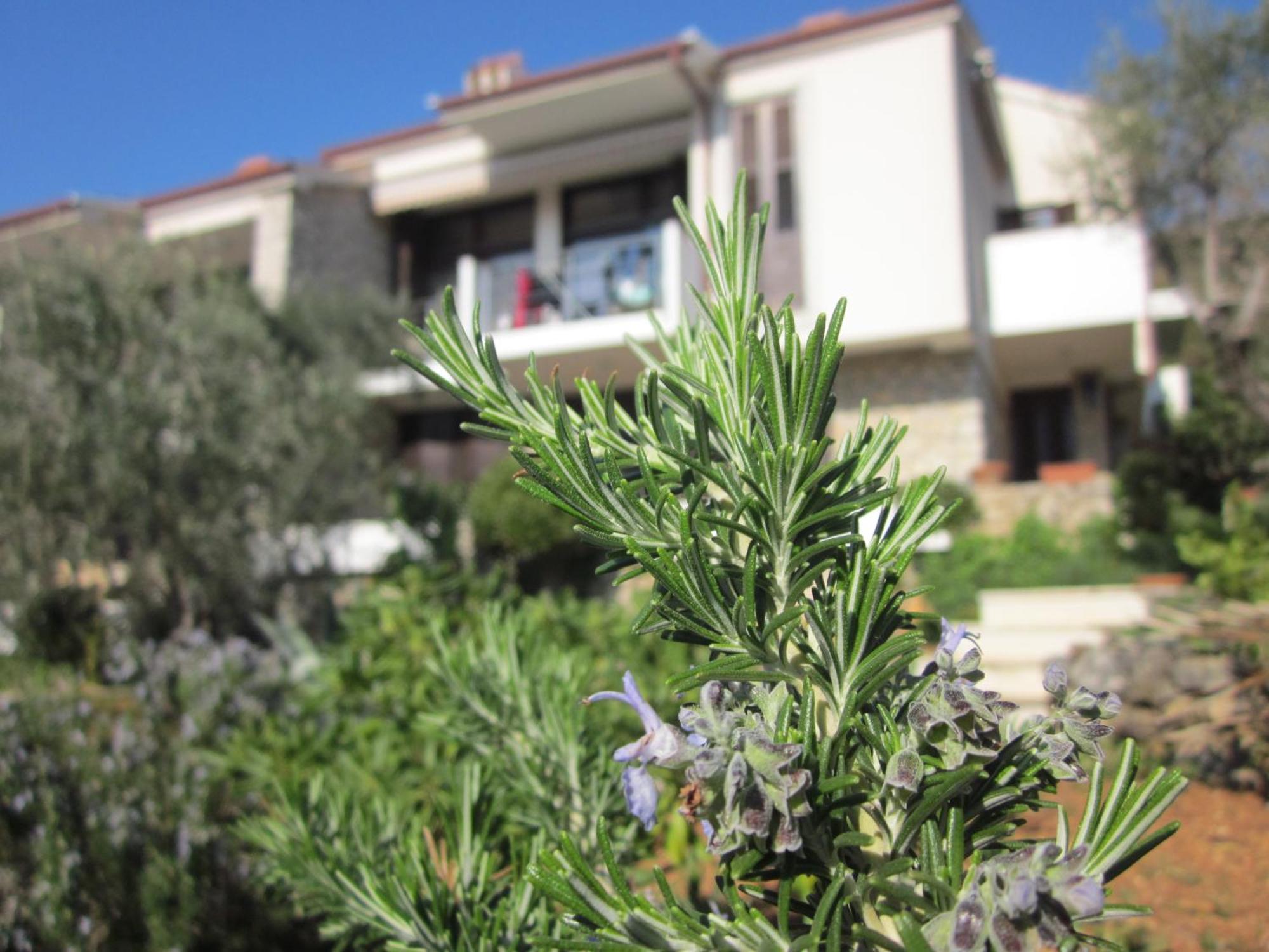 Apartments Palma & Pino Cres Luaran gambar