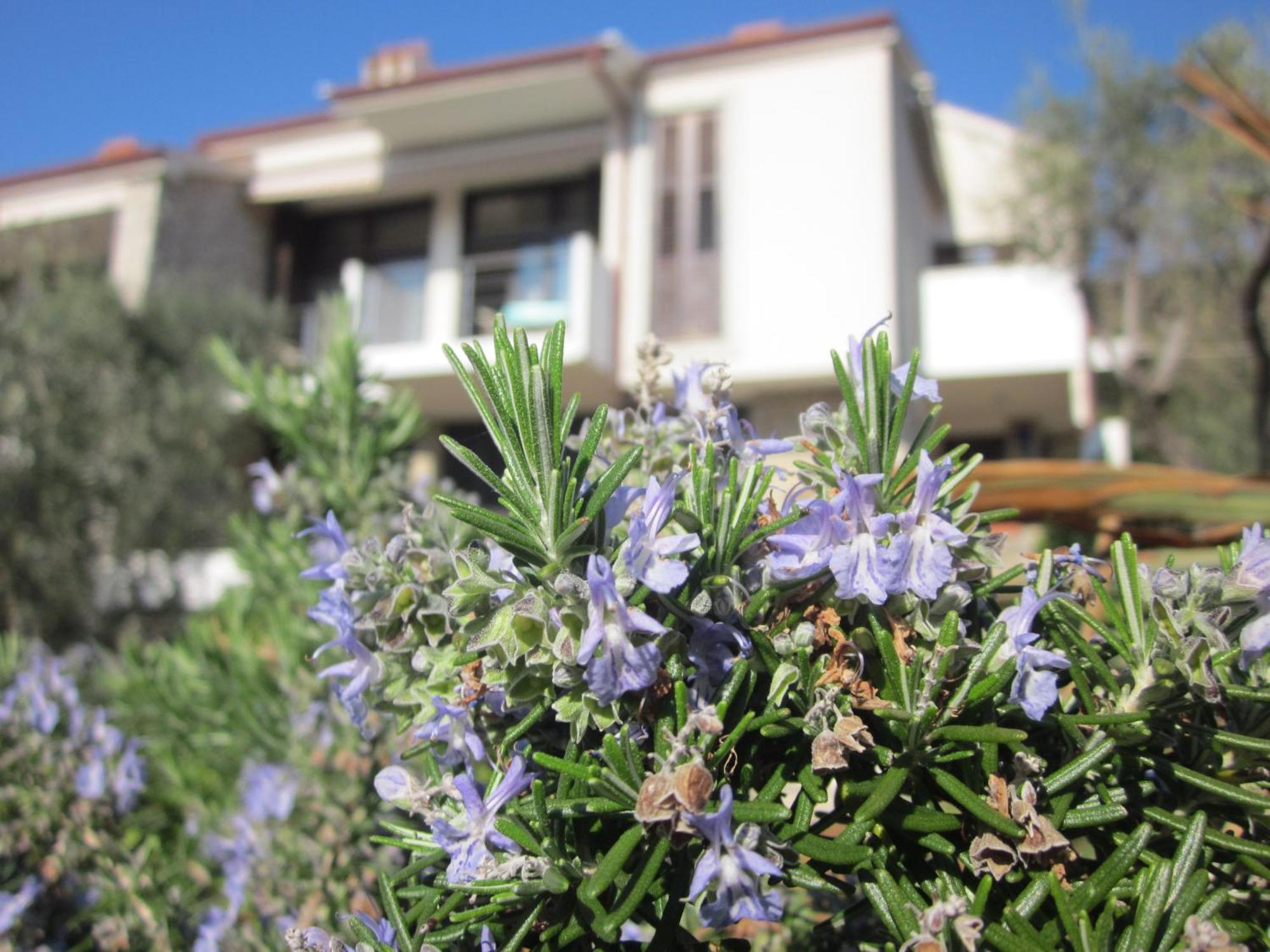 Apartments Palma & Pino Cres Luaran gambar