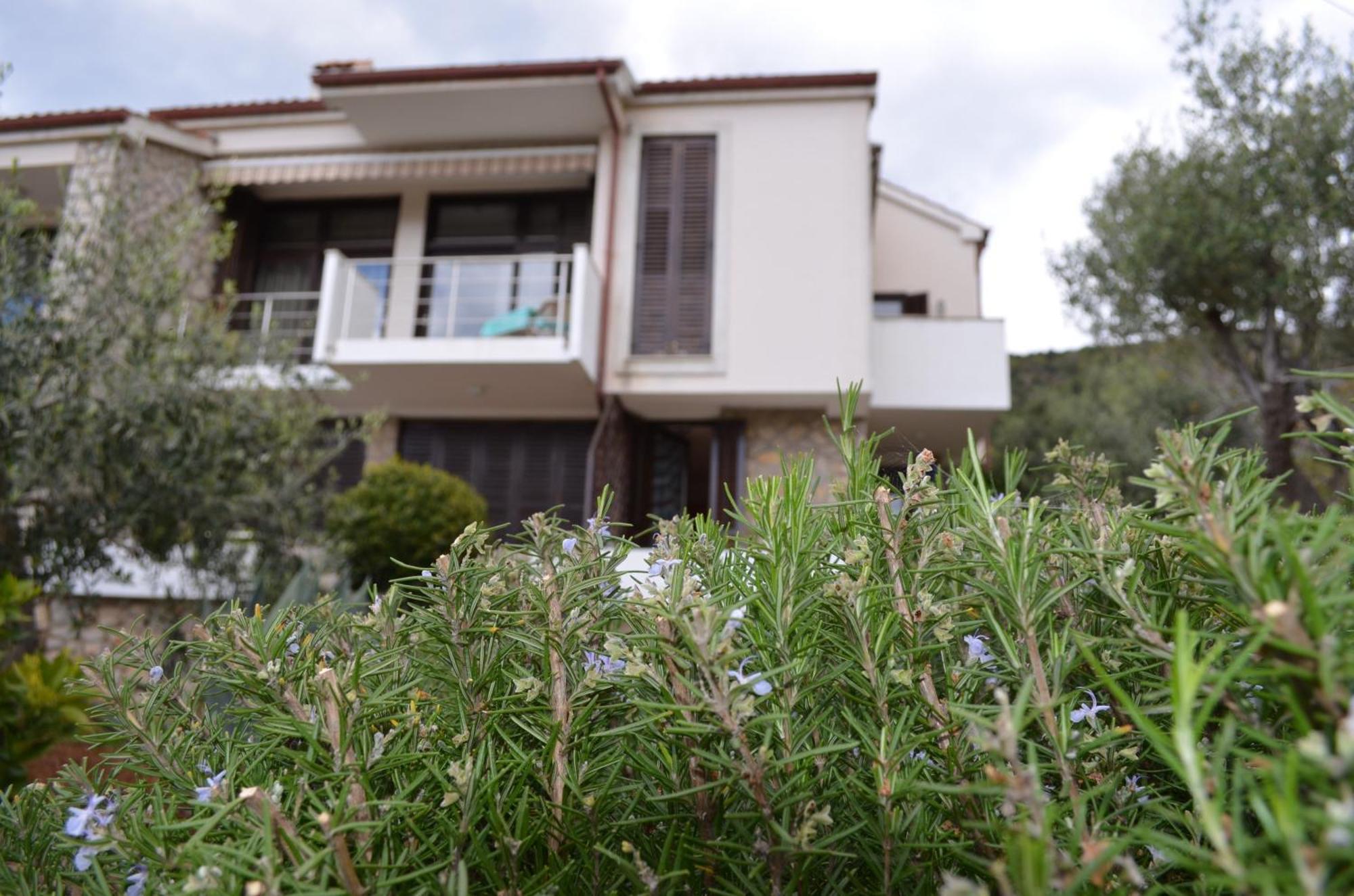 Apartments Palma & Pino Cres Luaran gambar